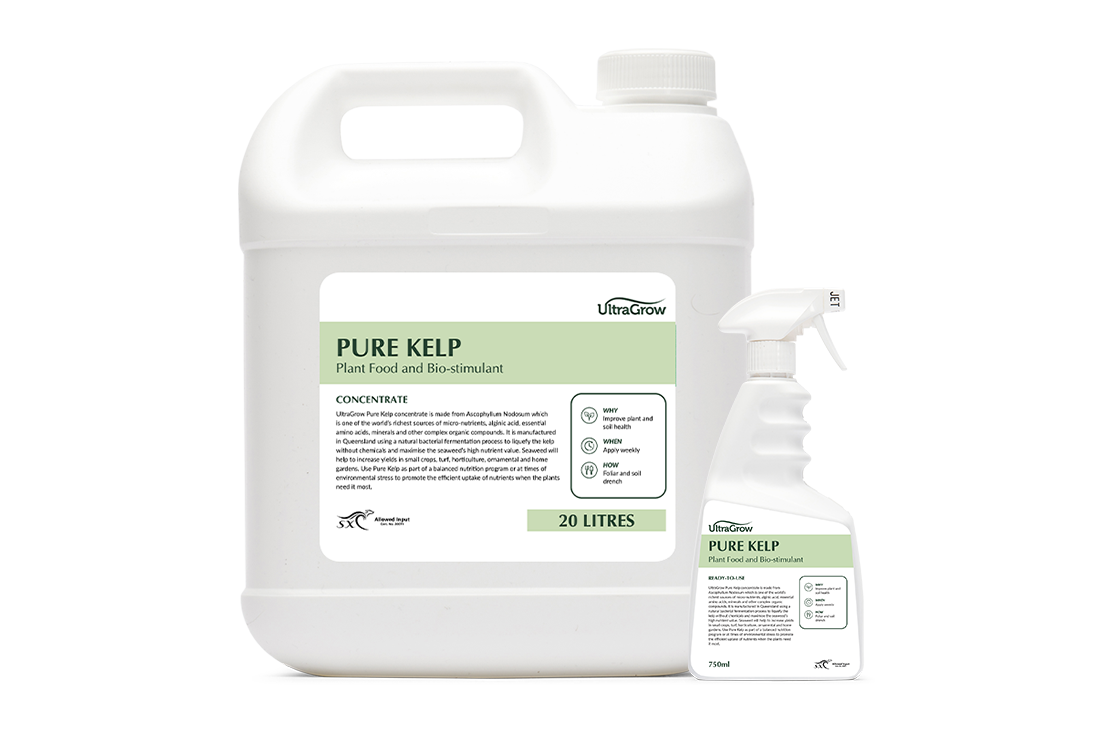 Group photo of Pure Kelp Products | Featured Image for Liquids Product Page by UltraGrow.